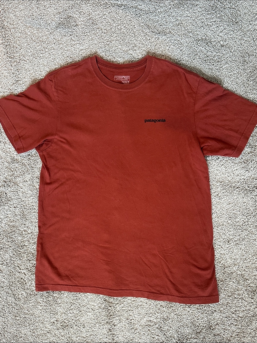 Patagonia Men’s Short-Sleeve Tee in Rust/Brick Red